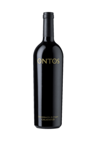 VINO 2 BSG