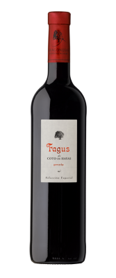 Fagus